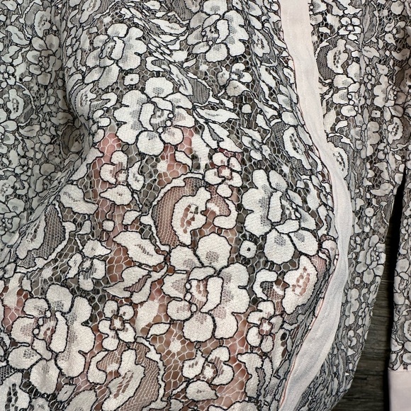 J. Crew Cream Pink Lace Long Sleeve Blouse with Mandarin Collar - Picture 4 of 9